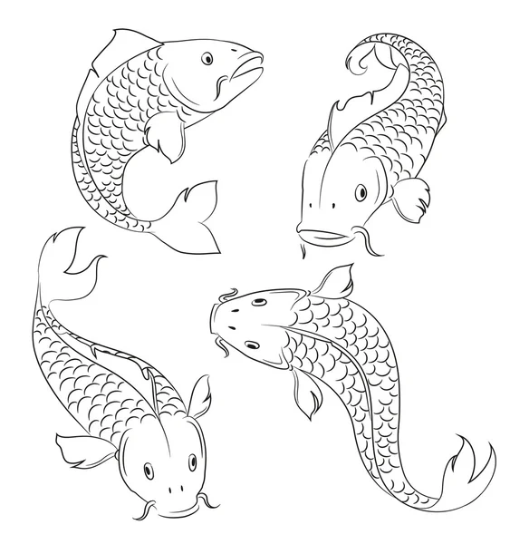 Carps sketches — Stock Vector