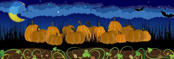 Pumpkins in the grass — Stock Vector