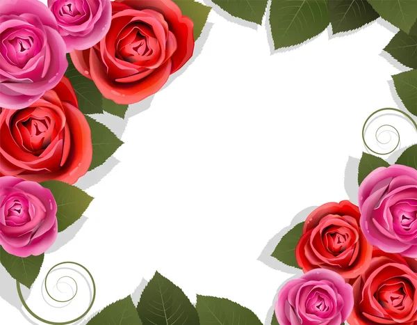 Κόκκινα και ροζ τριαντάφυλλα — Διανυσματικό Αρχείο