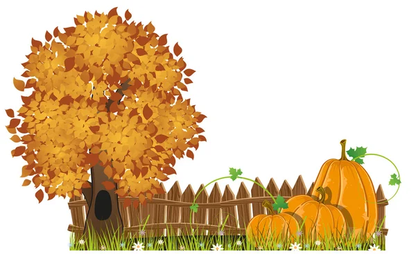 Herbstbaum und Kürbisse — Stockvektor