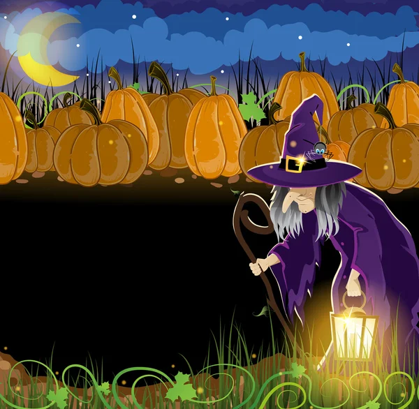 Bruxa malvada e abóboras de Halloween — Vetor de Stock