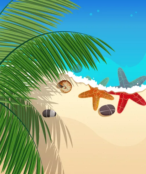 Strand met zeesterren en palm takken — Stockvector