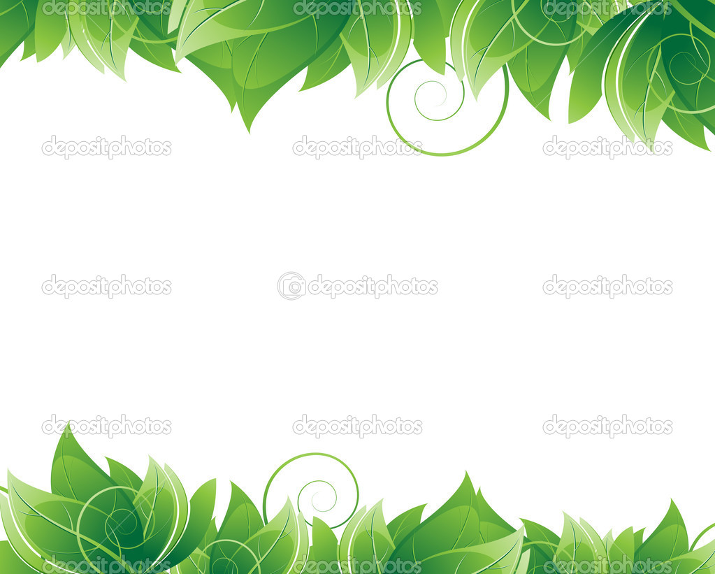 Lush foliage on white background