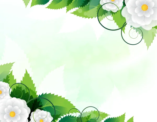 Groene bladeren en witte bloemen — Stockvector