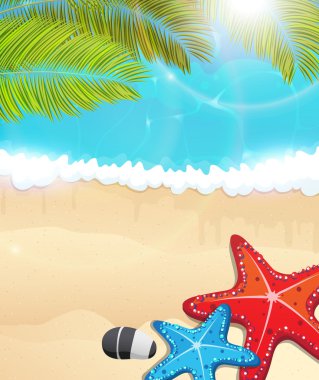  hurma dalları ve starfishes Beach 