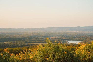 Mae Kham Barajı 'yla Meksika Ayçiçeği ve dağda gün batımı. Yakın plan Ağaç Marigold ya da Mae Moh, Lampang, Tayland 'da. Güzel manzara.