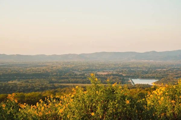Mae Kham Barajı 'yla Meksika Ayçiçeği ve dağda gün batımı. Yakın plan Ağaç Marigold ya da Mae Moh, Lampang, Tayland 'da. Güzel manzara.