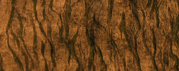 Holz Textur Hintergrund Braune Holzrindentapete Rendering — Stockfoto