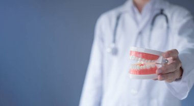 Diş bakımı konsepti. Plastik dişli bir dişçi. Ağız sağlığı ve diş sağlığı uzmanları. Tıbbi ve sağlık teknolojisi.