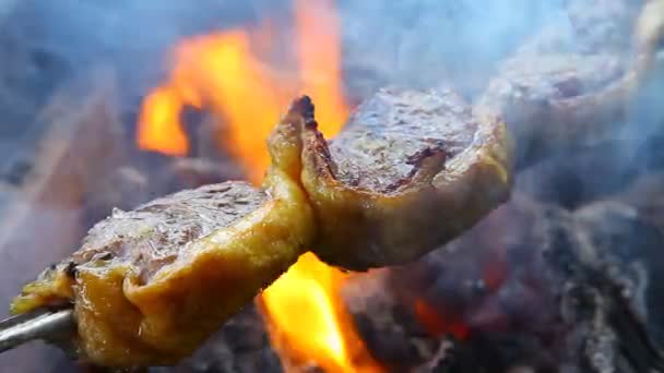 Grillmat – stockvideo