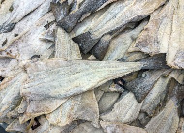 Çiğ tuzlanmış morina balığı, kutunun içinde.