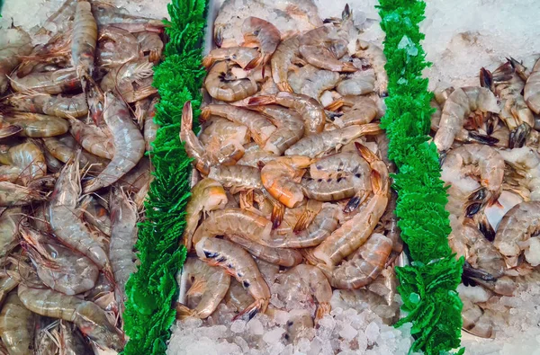 Crevettes Crues Marché Aux Poissons — Photo