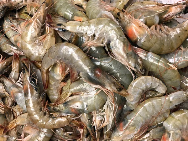 Crevettes Crues Marché Aux Poissons — Photo