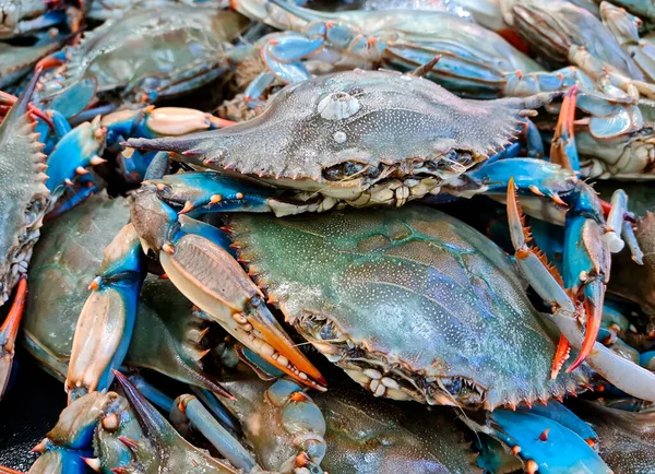 blue crab at the fish market, fishmonger