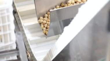 Fabrikada peynir üretimi