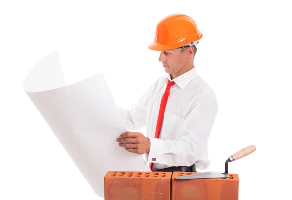 Businessman looking project — Stock Photo, Image