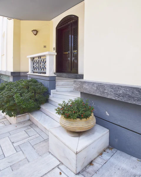 Ușă elegantă de casă și ghiveci de flori — Fotografie, imagine de stoc