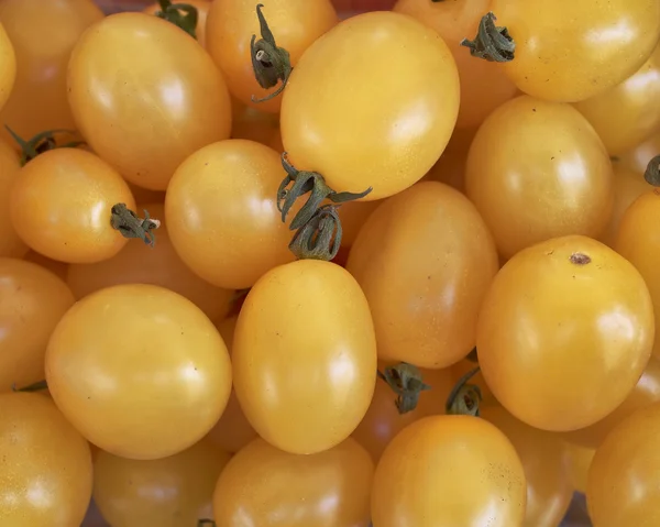 Tomates cereja amarelos — Fotografia de Stock