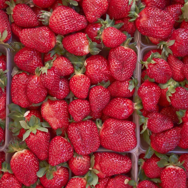 Fresh juicy strawberries — Stock Photo, Image