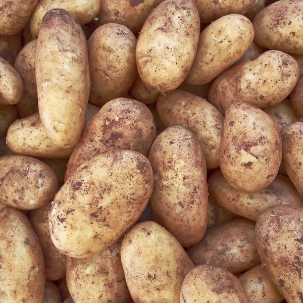 Primeros planos de las patatas crudas —  Fotos de Stock