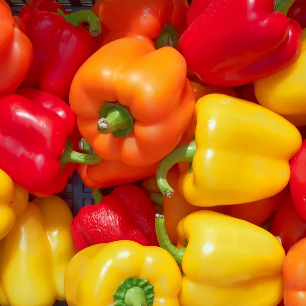 Colorful bell peppers, natural background — Stock Photo, Image
