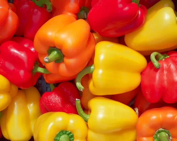 Färgglada paprika, naturliga bakgrund Royaltyfria Stockbilder