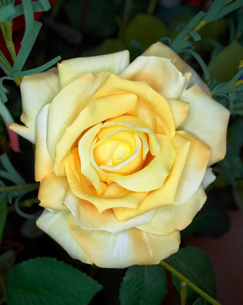 Single yellow fake rose — Stock Photo, Image