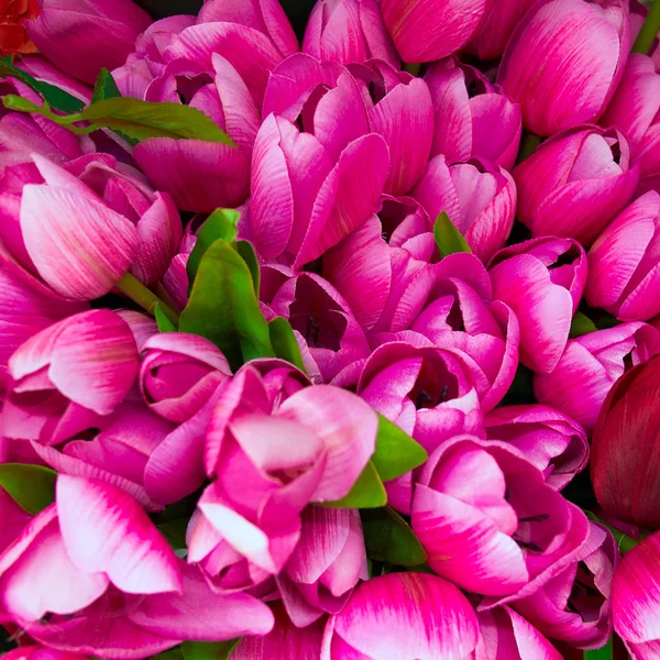 Colorful fake tulips closeup — Stock Photo, Image