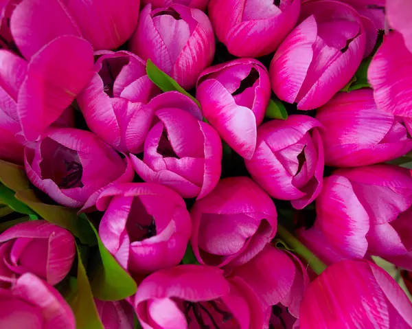 Colorful fake tulips closeup — Stock Photo, Image