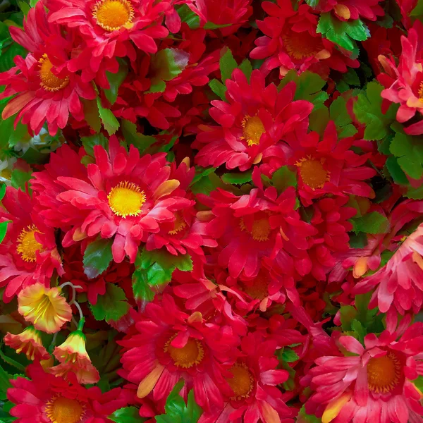 Красные поддельные хризантемы крупным планом — стоковое фото