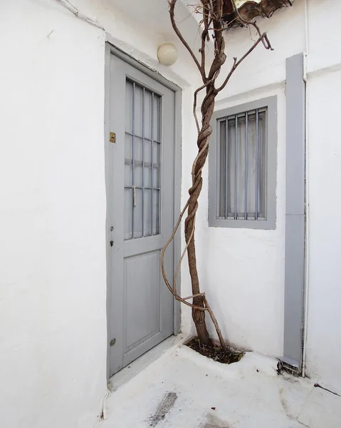 Fachada de casa con puerta gris y planta —  Fotos de Stock