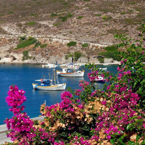 Bougainvillea och båtar i en grekisk ö — Stockfoto