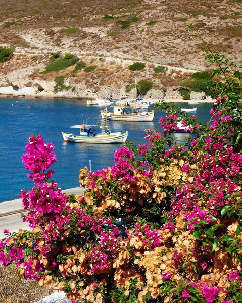 Bougainvillea et bateaux dans une île grecque — Photo