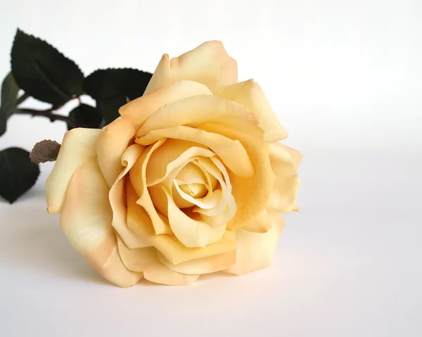Pale yellow artificial rose on white background — Stock Photo, Image