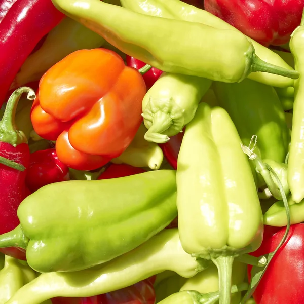 Red and green hot chili peppers closeup — Stock Photo, Image