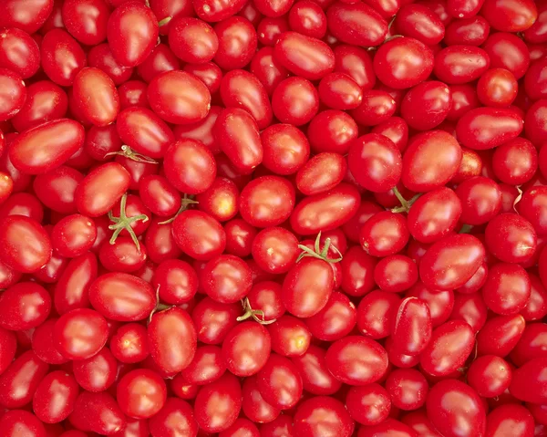 Pomodori rossi ciliegia — Foto Stock