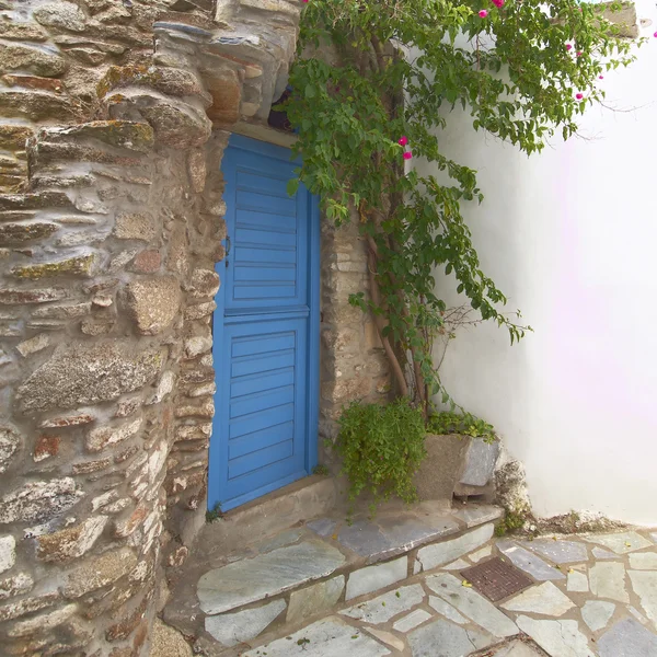 Голубая дверь и цветочный горшок — стоковое фото