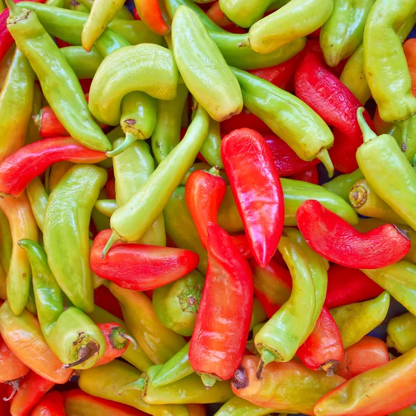 Разнообразие разноцветных перцев — стоковое фото