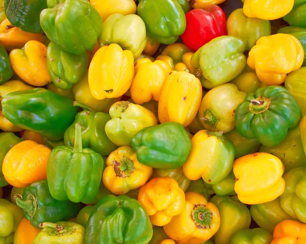 Variedade de pimentas coloridas — Fotografia de Stock