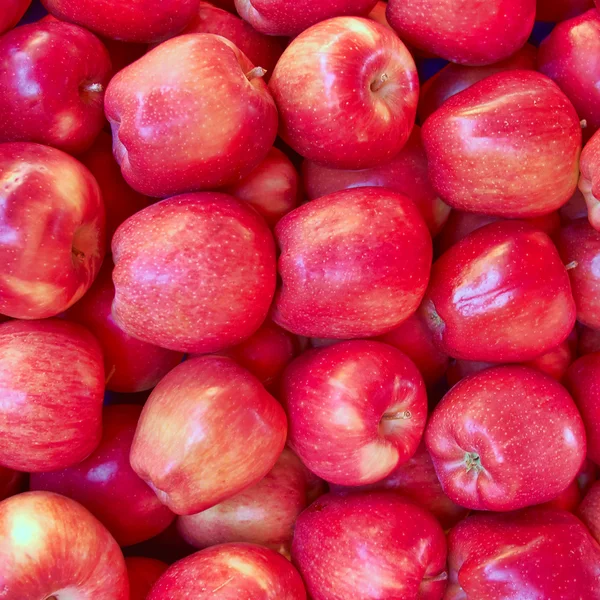 Хрусткі червоні яблука Ліцензійні Стокові Зображення