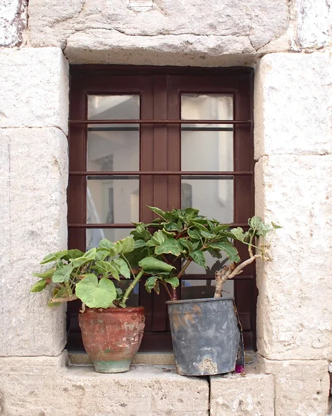 Window and flower pots, Greece — Stock Photo, Image