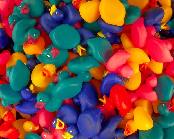 Patos de juguete de goma —  Fotos de Stock