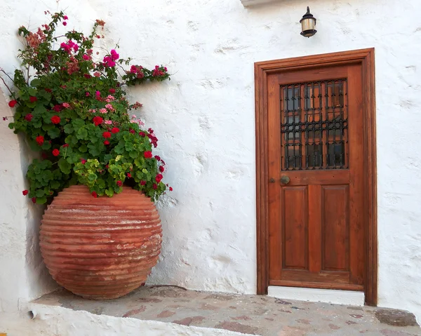 Porta de madeira marrom e enorme vaso de flores — Fotografia de Stock