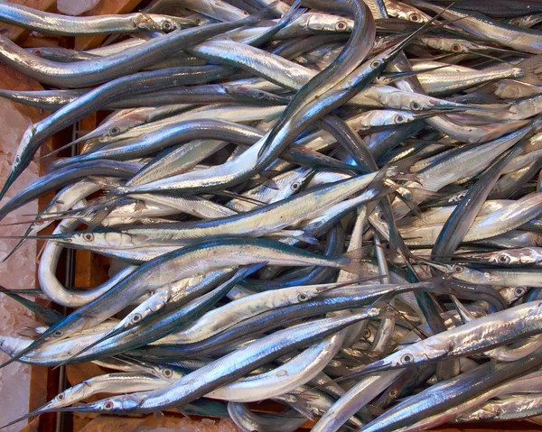 Свежая рыба (морская игла) на продажу — стоковое фото