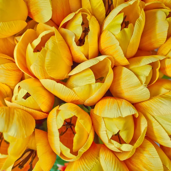 Fabric tulipány, barevné květinové pozadí — Stock fotografie