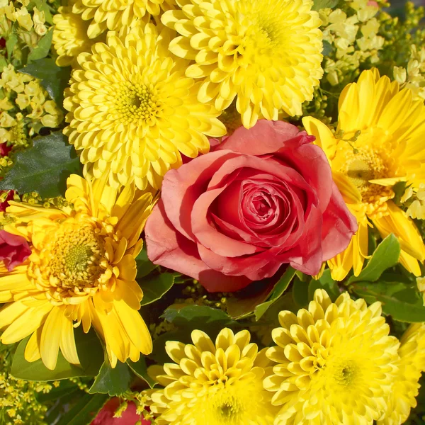 Rose and chrysanthemums bouquet — Stock Photo, Image