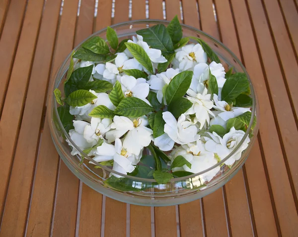 Glass vase with gardenia flowers