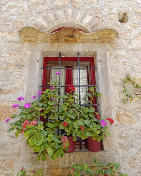 Picturesque window and flowerpots — Stock Photo, Image