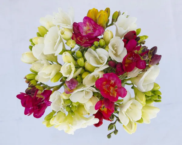 Freesias bouquet primer plano — Foto de Stock