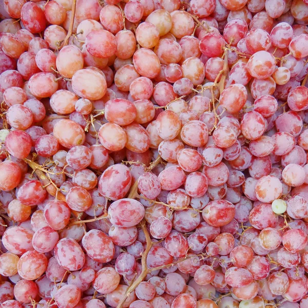 Raisins de vin rose — Photo